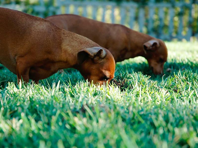 windows screenshot 4