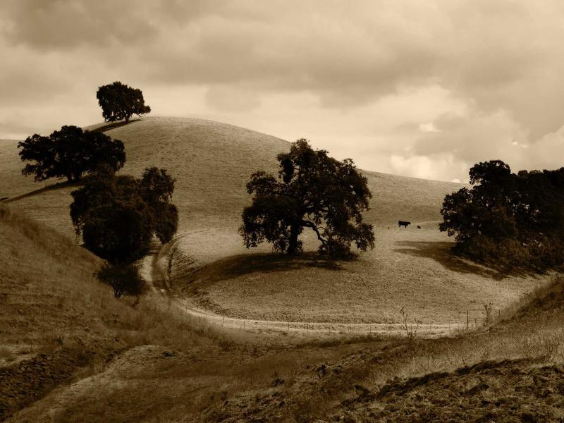 sudoku hint feature screenshot 2