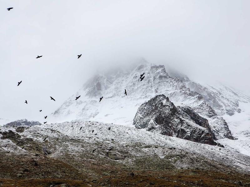 sudoku hint feature screenshot 6